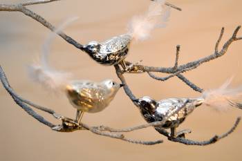 Glasfugle med klemme sølv