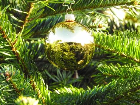 Højglans guld juletræs glaskugler Ø 6.7 cm